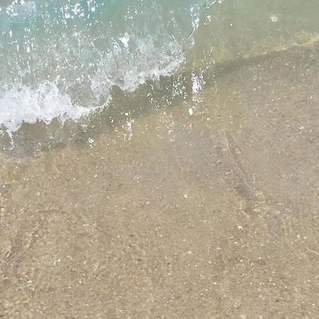 Pousada Sereia Morena Floripa Florianópolis 외부 사진