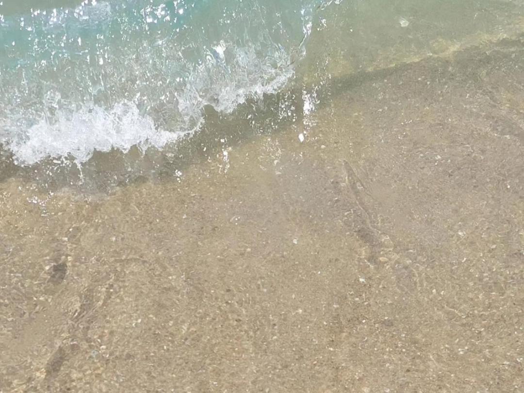 Pousada Sereia Morena Floripa Florianópolis 외부 사진